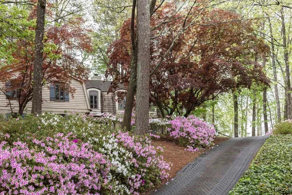 1060 Mountain Creek Trail, Sandy Springs, Georgia 30328, 4 Bedrooms Bedrooms, ,3 BathroomsBathrooms,Residential,Sold,1060 Mountain Creek Trail,7200622