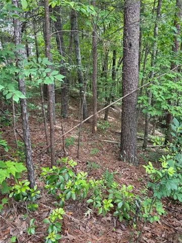 0 Hinterstraten Weg, Helen, Georgia 30545