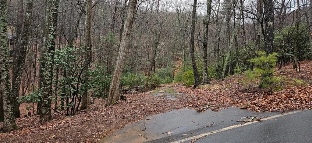 255 Woodland Trace, Jasper, Georgia 30143
