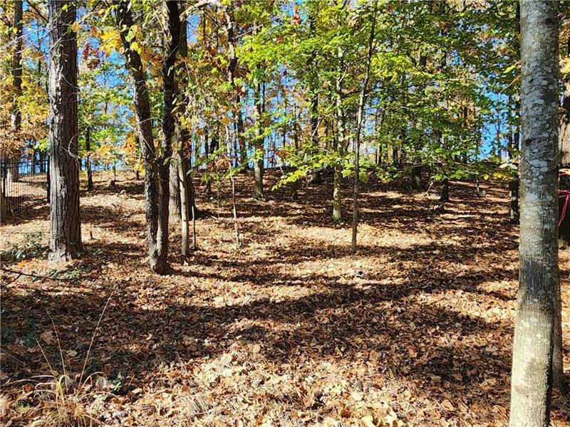 View of mother earth's splendor