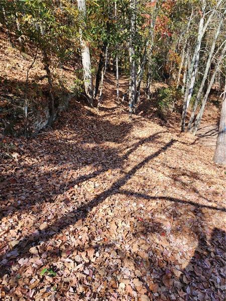 View of mother earth's splendor