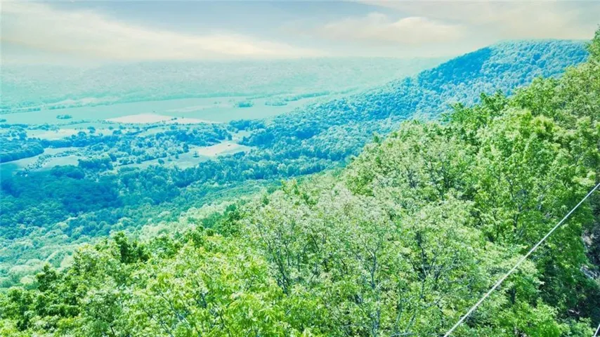 Mountain view featuring a heavily wooded area