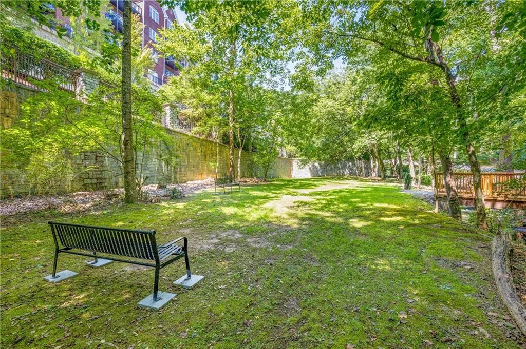 Another view of our Dog Park.