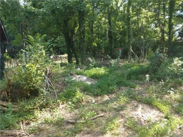 1122 Sw West Avenue Sw, Atlanta, Georgia 30315