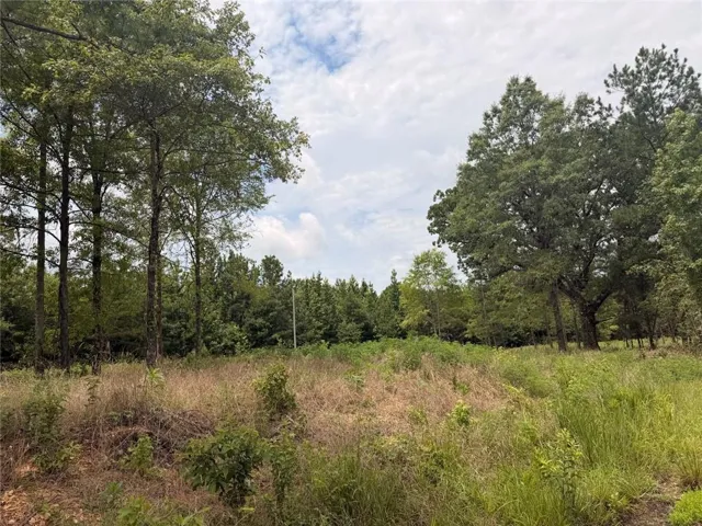 Lot 60 County Road 32, Piedmont, Alabama 36272