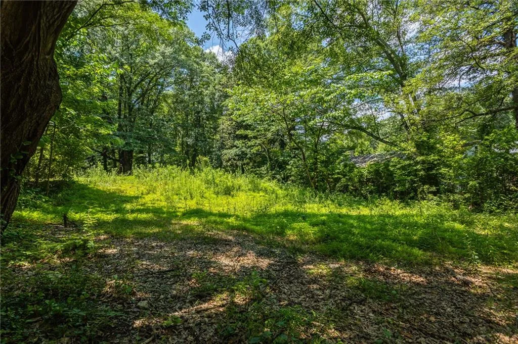 View of woods
