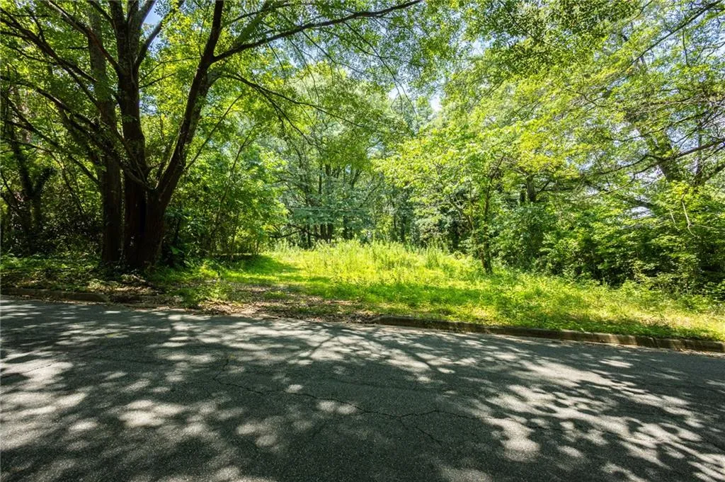 View of street with a view of trees and curbs