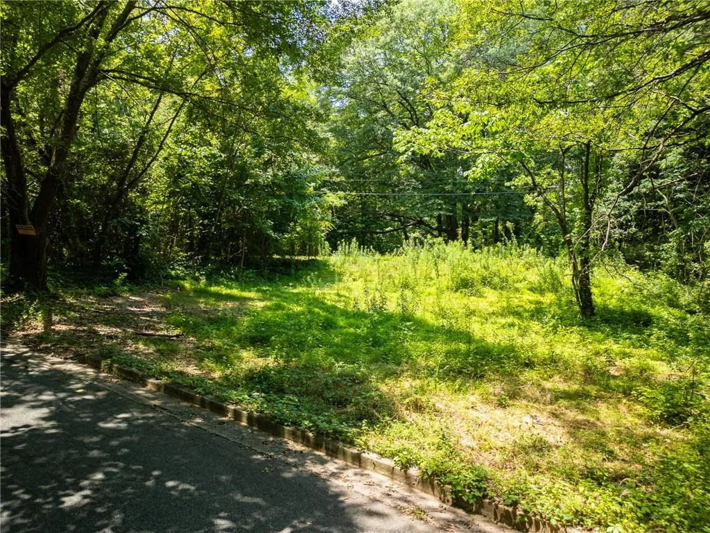 View of tree filled area
