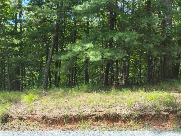 Wooded land parcel featuring a gentle slope and a mix of deciduous and coniferous trees