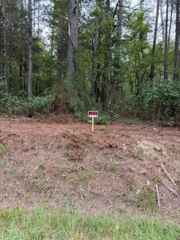0 Iron Hill Road Lot 3, Taylorsville, Georgia 30178