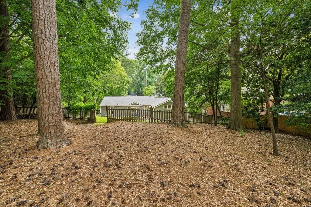 View towards the house from the back of the yard.