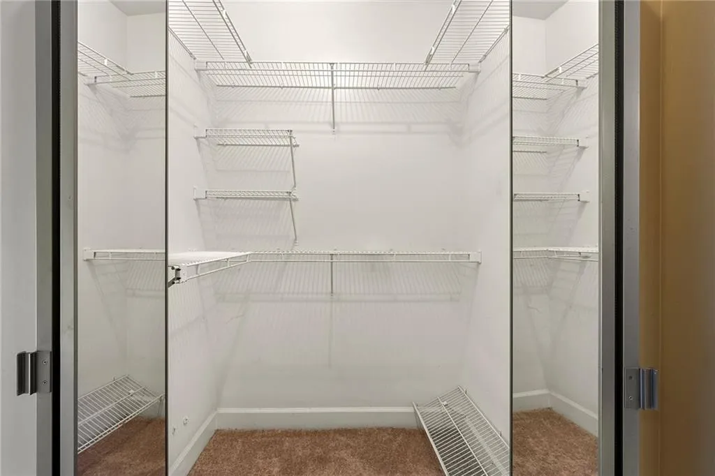 Spacious closet featuring light colored carpet