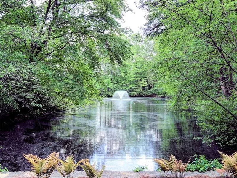 5445 N Powers Ferry Road, Atlanta, Georgia 30327, 5 Bedrooms Bedrooms, ,5 BathroomsBathrooms,Residential,Sold,5445 N Powers Ferry Road,5955798