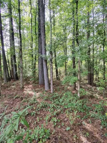 0 Post Road, Winston, Georgia 30187