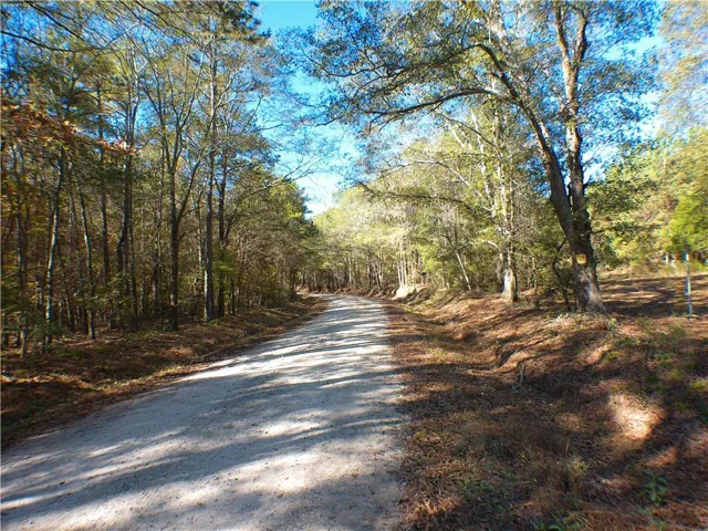 View of dirt / gravel road featuring a view of trees
