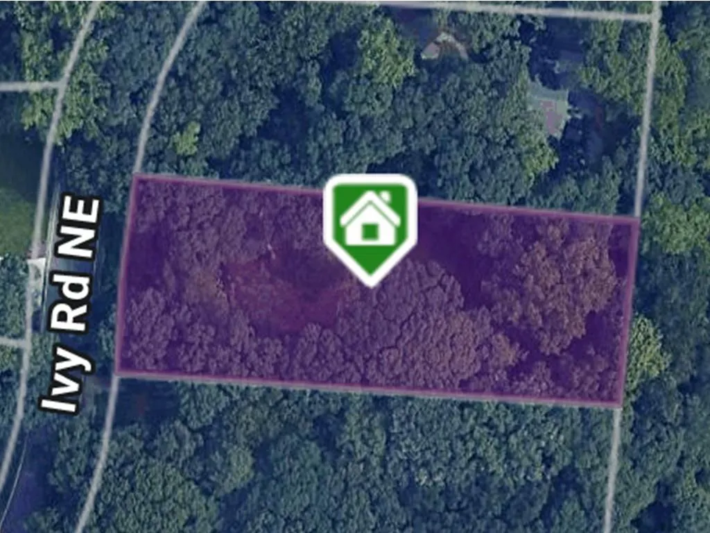 3939 Ivy Road, Atlanta, Georgia 30342, ,Land,For Sale,3939 Ivy Road,7648041