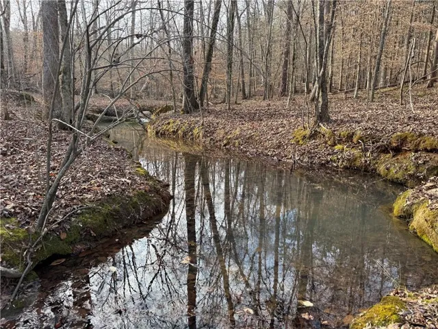 Beautiful 83.85 acre tract with creek running through backside of property