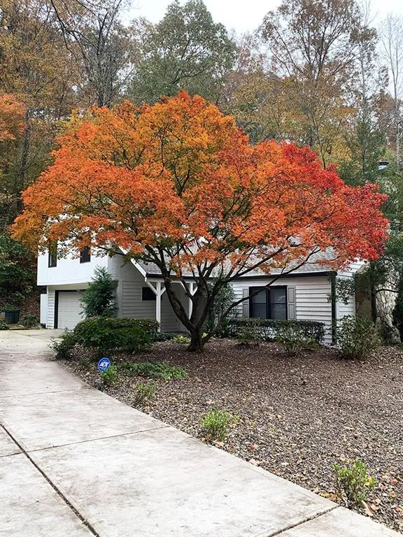 7107 Riverside Drive, Sandy Springs, Georgia 30328, 4 Bedrooms Bedrooms, ,2 BathroomsBathrooms,Residential,Sold,7107 Riverside Drive,6947759