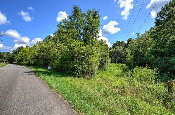 Expansive parcel featuring a paved road frontage, lush natural vegetation, mature trees,.