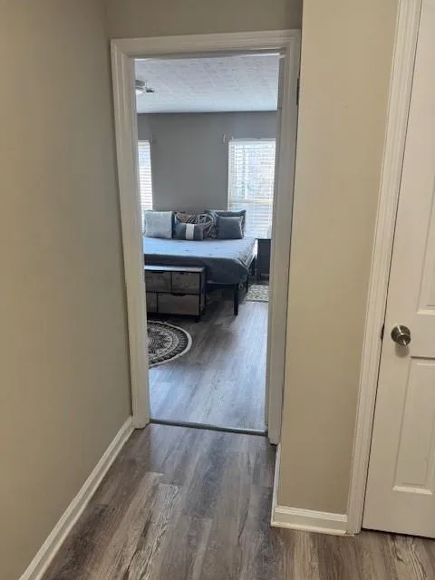 Hall with dark wood-style floors and plenty of natural light