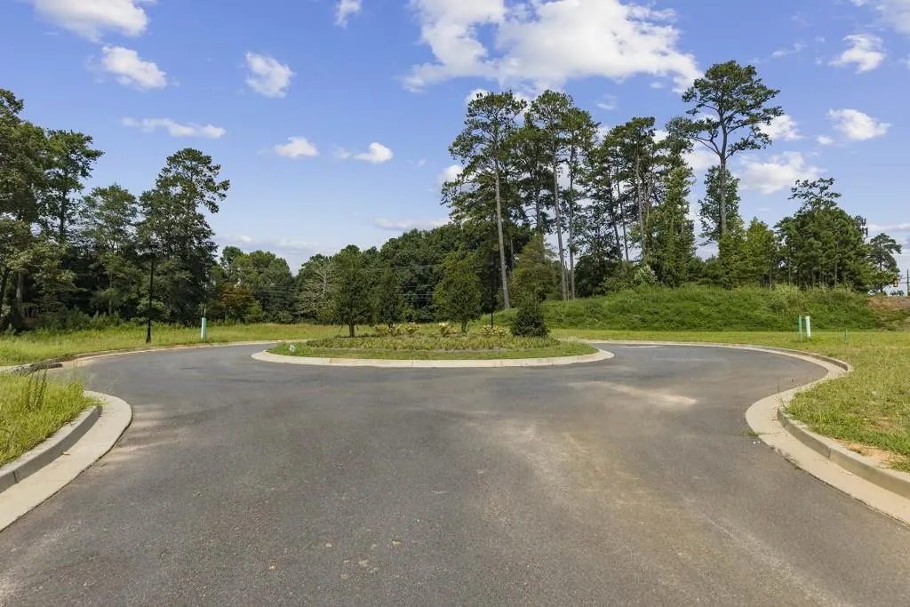 245 River Valley Court, Sandy Springs, Georgia 30328, ,Land,Sold,245 River Valley Court,6929375