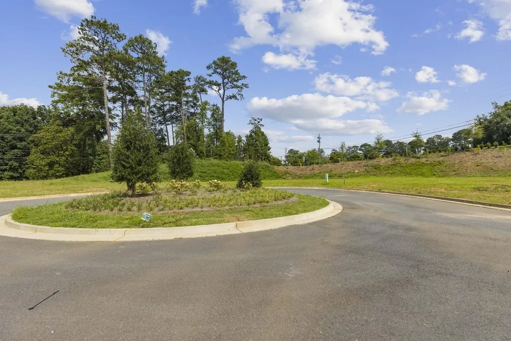 245 River Valley Court, Sandy Springs, Georgia 30328, ,Land,Sold,245 River Valley Court,6929375