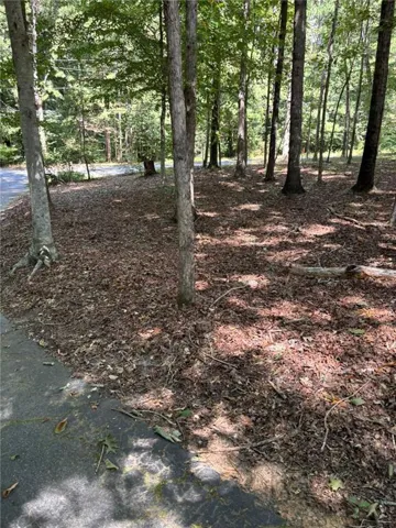 Wooded lot featuring mature trees complete privacy and seclusion