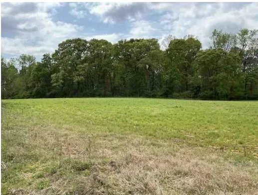 1325a Holland Drive, Byromville, Georgia 31007