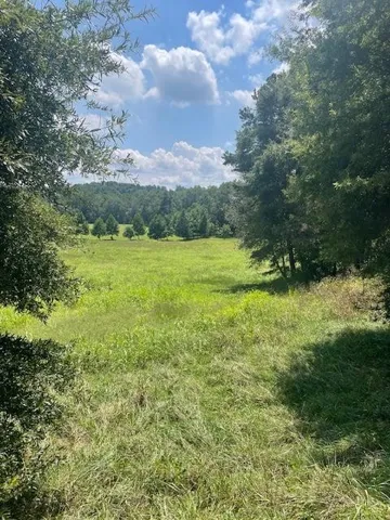 Lot 8 Captains Court, Clarkesville, Georgia 30523