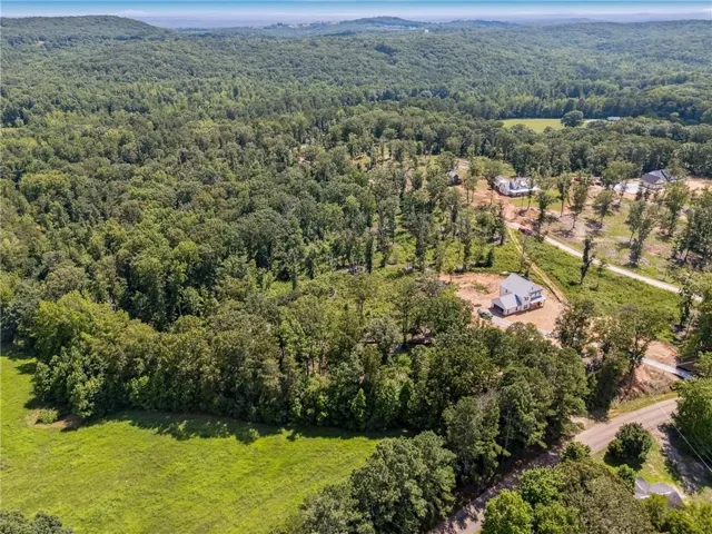 Expansive undeveloped land surrounded by mature trees, featuring a distant mountainous horizon