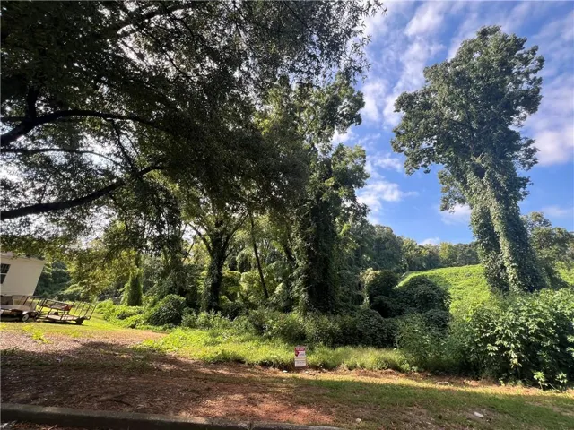 View of undeveloped land