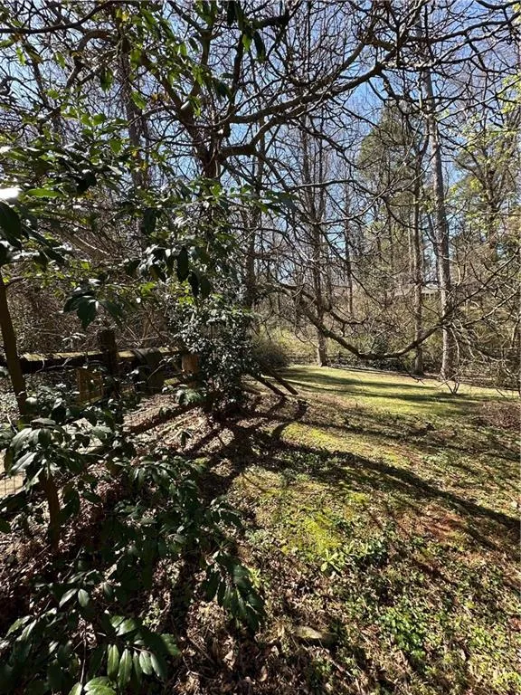 View of local wilderness