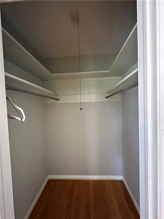 Spacious closet featuring wood finished floors