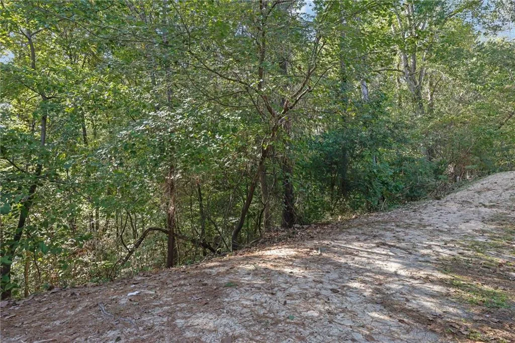 View of local wilderness
