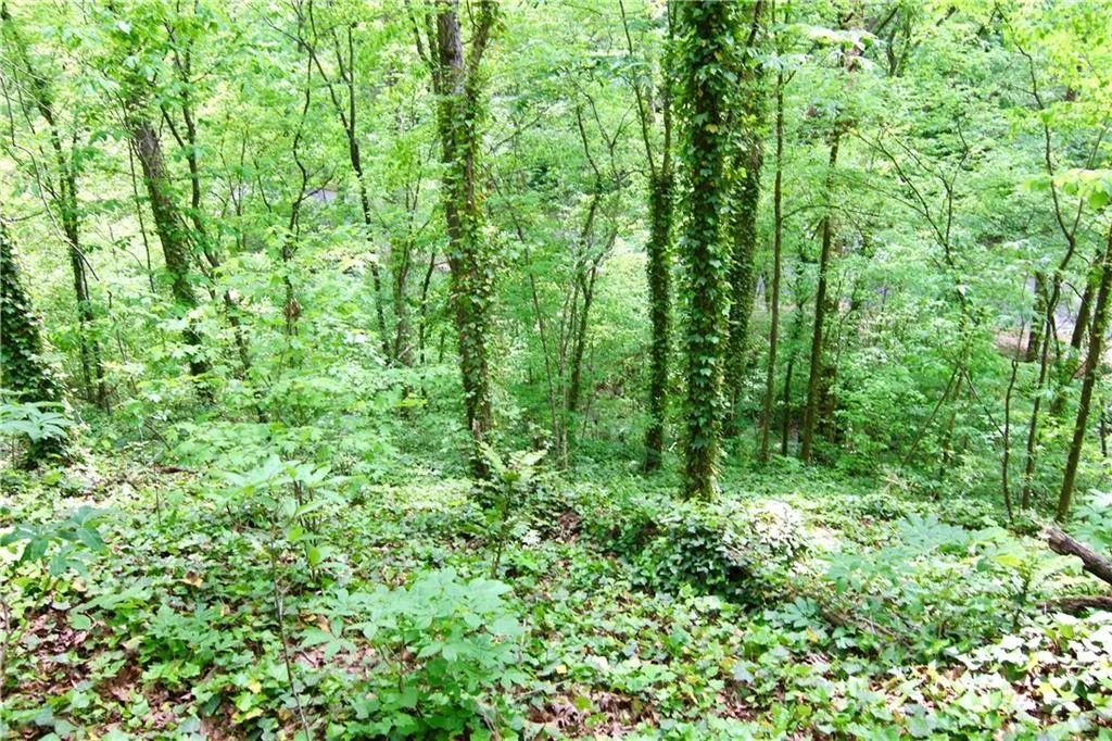 6380 River Chase Circle NW, Sandy Springs, Georgia 30328, ,Land,For Sale,6380 River Chase Circle NW,7206674 6380 River Chase Circle NW, Sandy Springs, Georgia 30328, ,Land,For Sale,6380 River Chase Circle NW,7206674