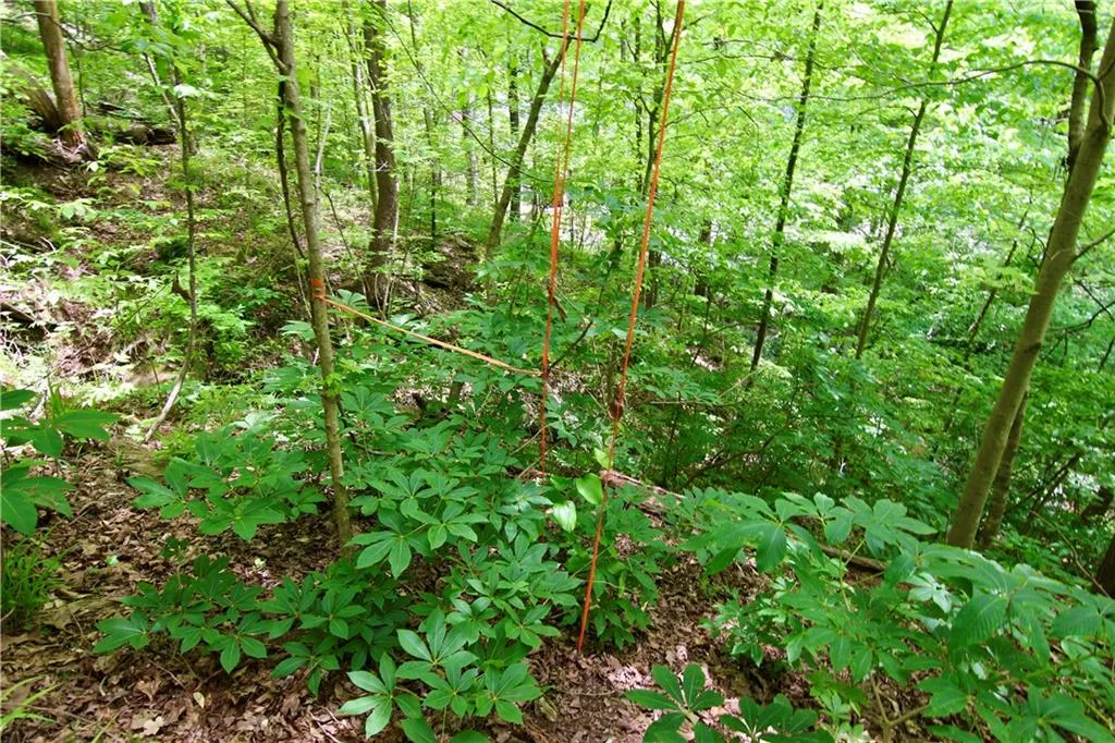 6380 River Chase Circle NW, Sandy Springs, Georgia 30328, ,Land,For Sale,6380 River Chase Circle NW,7206674 6380 River Chase Circle NW, Sandy Springs, Georgia 30328, ,Land,For Sale,6380 River Chase Circle NW,7206674