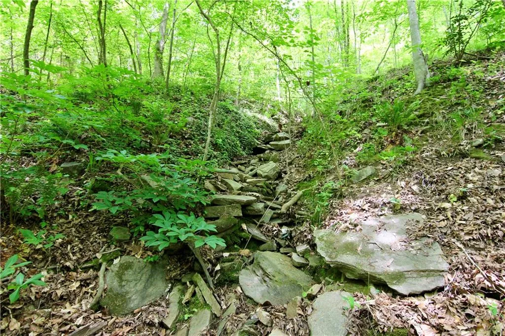 6380 River Chase Circle NW, Sandy Springs, Georgia 30328, ,Land,For Sale,6380 River Chase Circle NW,7206674 6380 River Chase Circle NW, Sandy Springs, Georgia 30328, ,Land,For Sale,6380 River Chase Circle NW,7206674