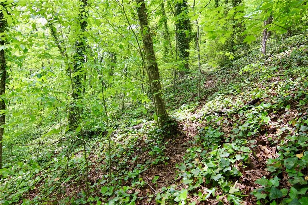 6380 River Chase Circle NW, Sandy Springs, Georgia 30328, ,Land,For Sale,6380 River Chase Circle NW,7206674 6380 River Chase Circle NW, Sandy Springs, Georgia 30328, ,Land,For Sale,6380 River Chase Circle NW,7206674