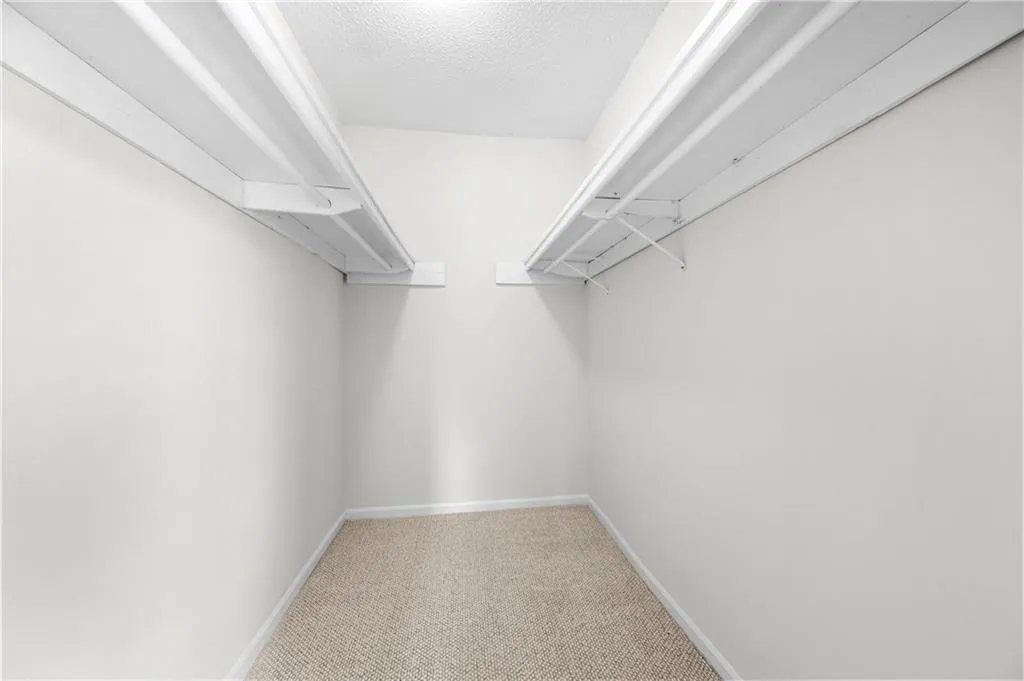 Spacious closet featuring light colored carpet