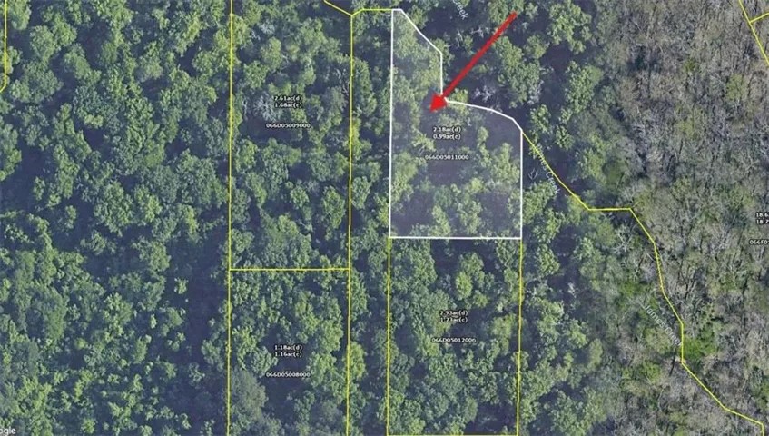 0 Freeman Drive, Stockbridge, Georgia 30281