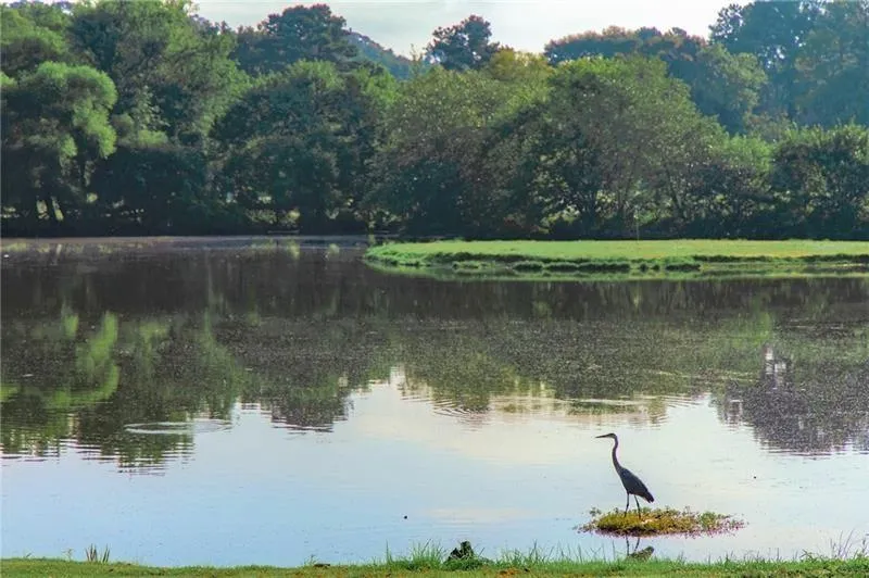 162 Elysian Way Nw, Atlanta, Georgia 30327, 3 Bedrooms Bedrooms, ,2 BathroomsBathrooms,Residential,For Sale,162 Elysian Way Nw,7675505