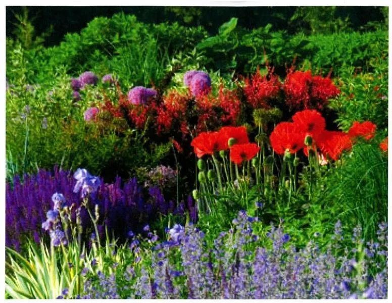 2100 West Wesley Road, Atlanta, Georgia 30327, 3 Bedrooms Bedrooms, ,3 BathroomsBathrooms,Land,For Sale,2100 West Wesley Road,7680937