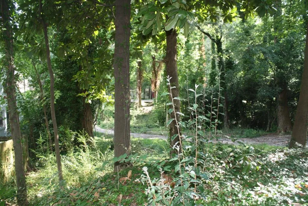 1376 Lavista Road Ne, Atlanta, Georgia 30324, 3 Bedrooms Bedrooms, ,2 BathroomsBathrooms,Residential,Sold,1376 Lavista Road Ne,5718867