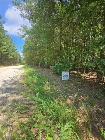 292 Mccannon Tract 3 Road, Carlton, Georgia 30627