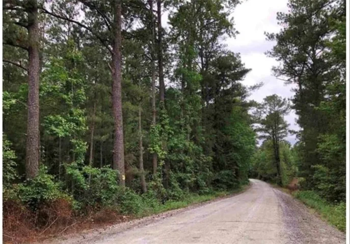 View of dirt / gravel road with a view of trees