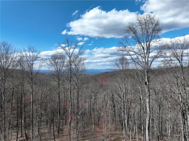 270r Stone Cliff Drive, Ellijay, Georgia 30536