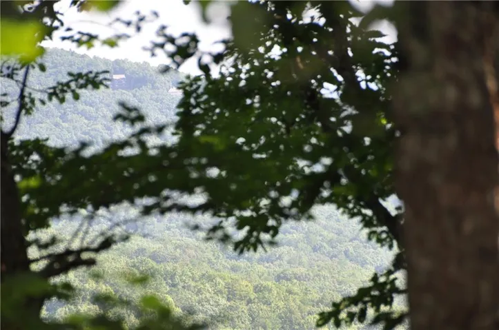 8261 Cox Mountain Drive, Big Canoe, Georgia 30143