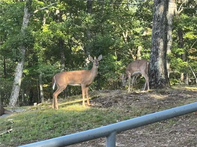 1170
