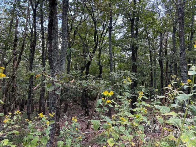 0 Little Hendricks Mountain, Jasper, Georgia 30143