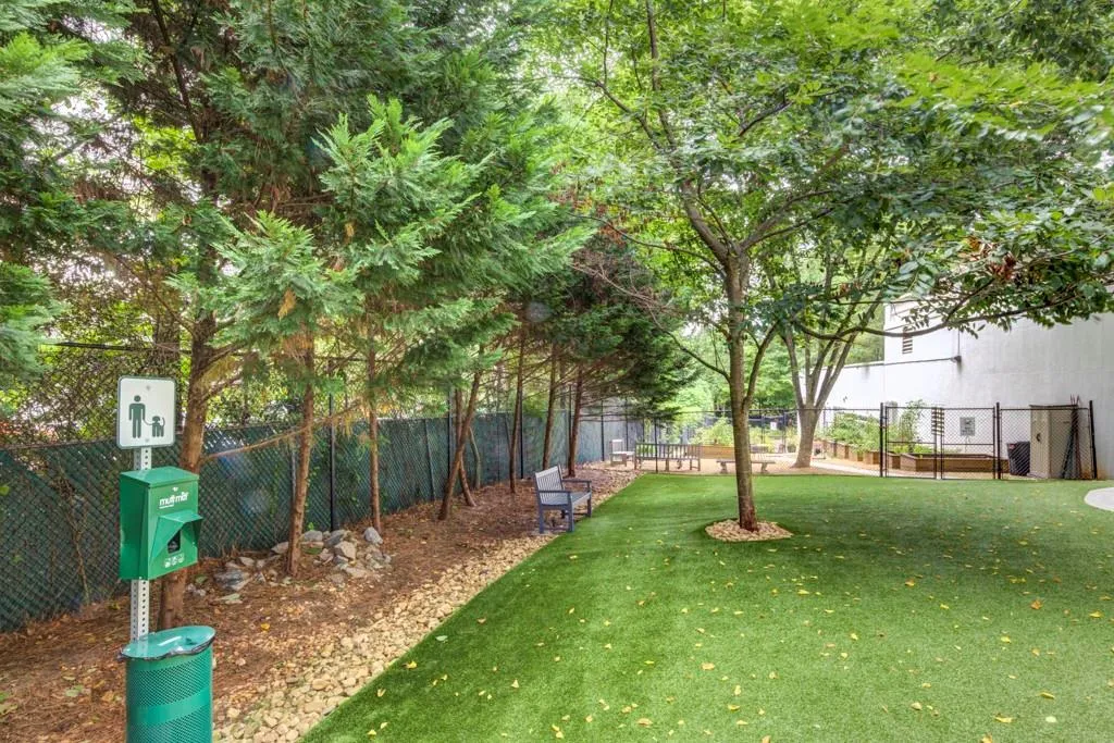 Dog Park area